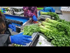 スナック・ビスケット 枕包装機 自動菓子包装機器