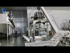 220Vナッツ包装機 自動多機能 コンプリートソリューション