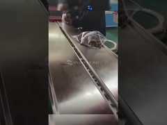 自動HFF横流包装機 商用ポップスイカの包装機 WZ-220