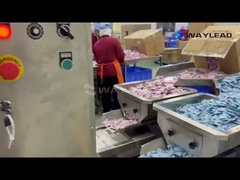 袋詰め機の効率的な操作プロセスを見ることができます.