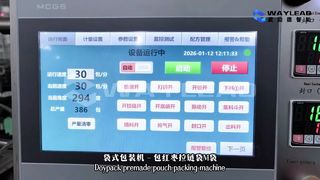 高速液体パウチ包装機 WG250