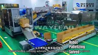 マテリアルハンドリング、搬送、自動計数、梱包およびパレタイジングシステム