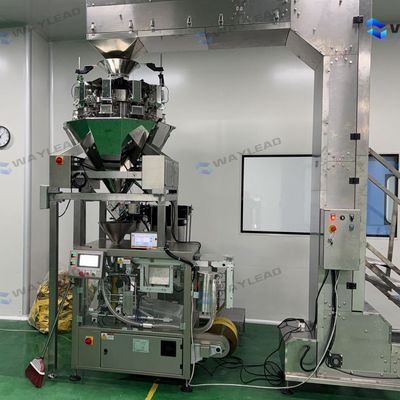 WG210 各種バッグ用の自動ドイパックパッケージングマシン