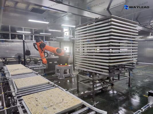 高効率の自動プレート配置ロボット 冷凍乾燥機生産ラインにカスタマイズ